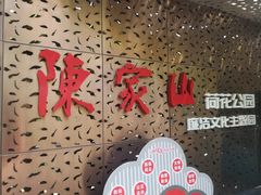 -陈家山荷花公园