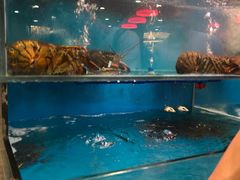 -潮喜竹溪荔湖酒家(荔枝湾店)