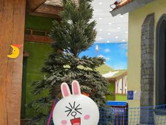 -湘江欢乐城欢乐雪域