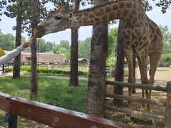 -大连森林动物园