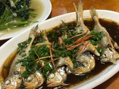 野生小黄鱼-温州一家人美食(西木头市店)