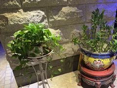 -樱蘭全息养生馆(三里屯店)