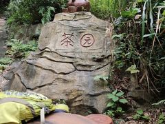 -江西阳明山国家森林公园