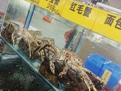 -寻味顺德·南记酒家·传统顺德菜·鱼生(广源路店)