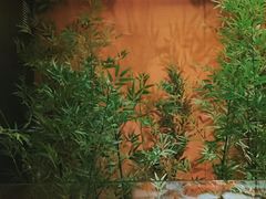 -初蓉丨遇见新川菜(亲贤街荣耀店)