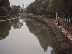 -顺峰山公园