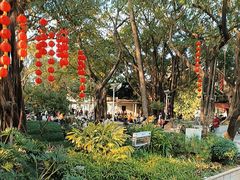 -荔湾湖公园