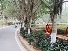 -八仙山公园