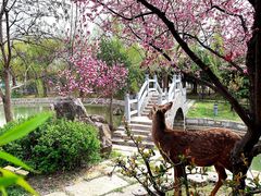 -观唐（国际）度假村温泉