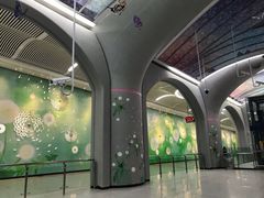 -华中科技大学光谷体育馆