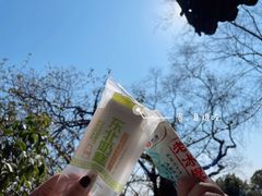 -苏州上方山国家森林公园