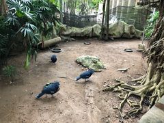 -清迈夜间动物园