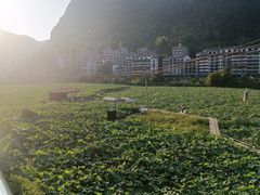 -长寿村
