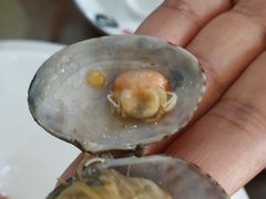 -抹直口特色菜馆(一店)