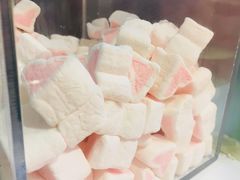 -狐狸和向日葵(北京路店)