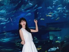 -海合安武汉极地海洋公园