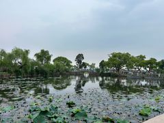 -无锡蠡湖国家湿地公园-蠡园