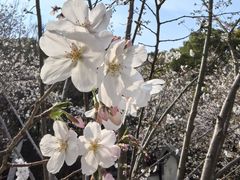 -苏州上方山国家森林公园