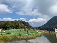 -广州市石门国家森林公园