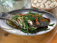 -罗浮山·罗园农庄
