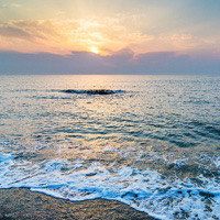 -薇兰专业脱毛连锁机构