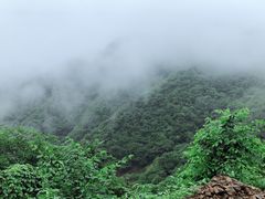 -水墨汀溪风景区