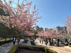 -新江湾城公园