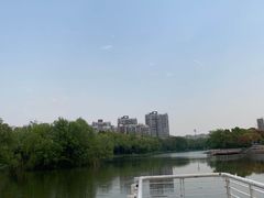-新江湾城公园
