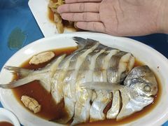 -夏军农家乐