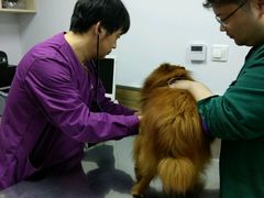 -爱侣宠医·鹦鹉专科·小型哺乳类·异宠专科(灵石路店)