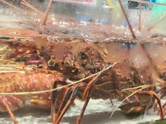 -渔傅·霞浦滩涂海鲜(建平店)
