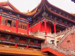 -东莞市大岭山森林公园
