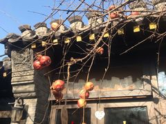 -四喜小胖·北京涮肉(五道营店)