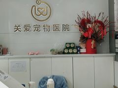 -关爱宠物医院·猫科中心·消化科(滨湖万达分院)