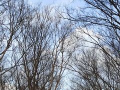 -南山风景名胜区