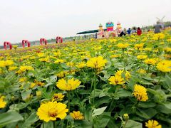 -长廊欢乐园