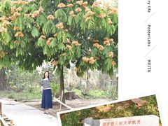 -华南国家植物园-售票处