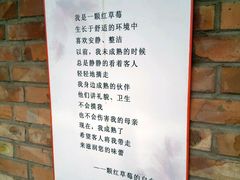 -甜心庄园·甜心草莓采摘园(西青中北店)