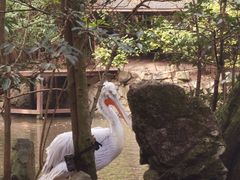 -杭州动物园