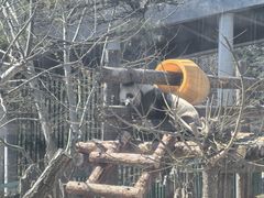 -大连森林动物园