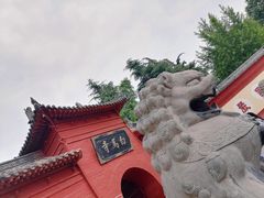 -洛阳白马寺