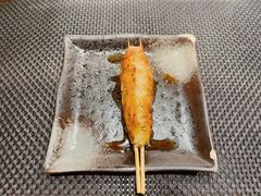 鸡肉丸子-串鑫