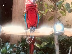 -杭州开元森泊度假乐园