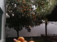 -暖心派对·独栋别墅团建聚会轰趴馆