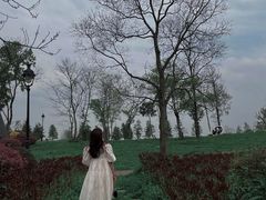 -云漫湖生态度假公园