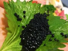 -禅猫日本料理