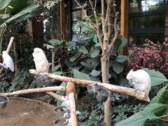 -南宫五洲植物乐园