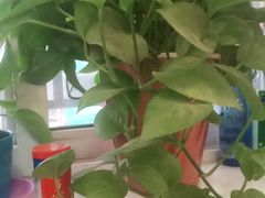 -壹块捌烧烤(灯市口店)