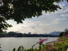 -福州西湖大酒店·怡湖咖啡厅