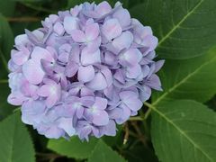 -常州古运河南大街文化旅游区-人民公园